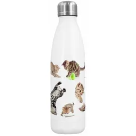 Dora's stainless steel thermos bottle cat 500ml