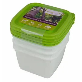 Boîtes de congélation greenline, set de 4 boîtes de 0,5 litre chacune